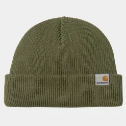 Carhartt WIP Beanies>Daxton Beanie